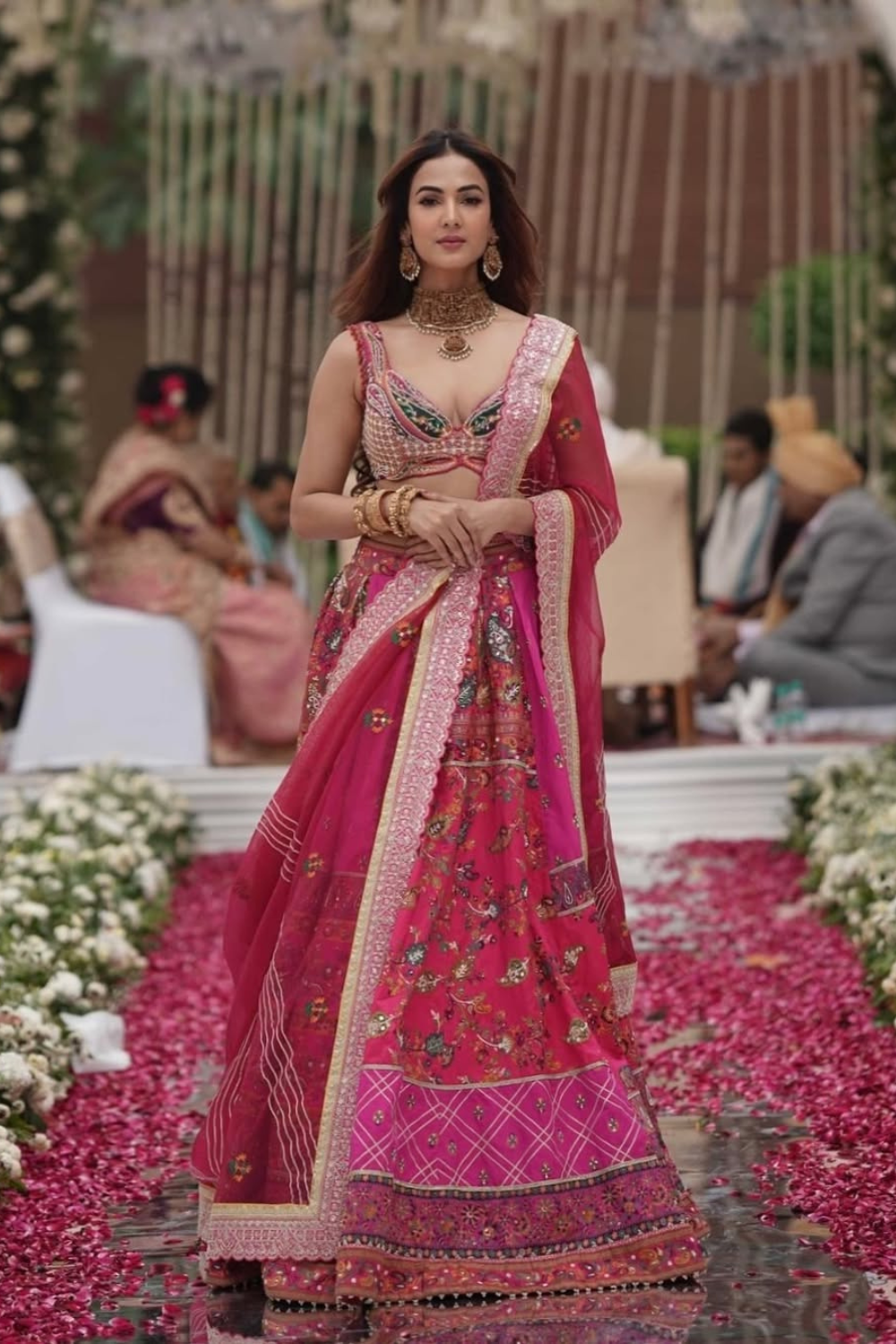 Sonal Chauhan Hot pink jacquard silk banarasi lehenga set