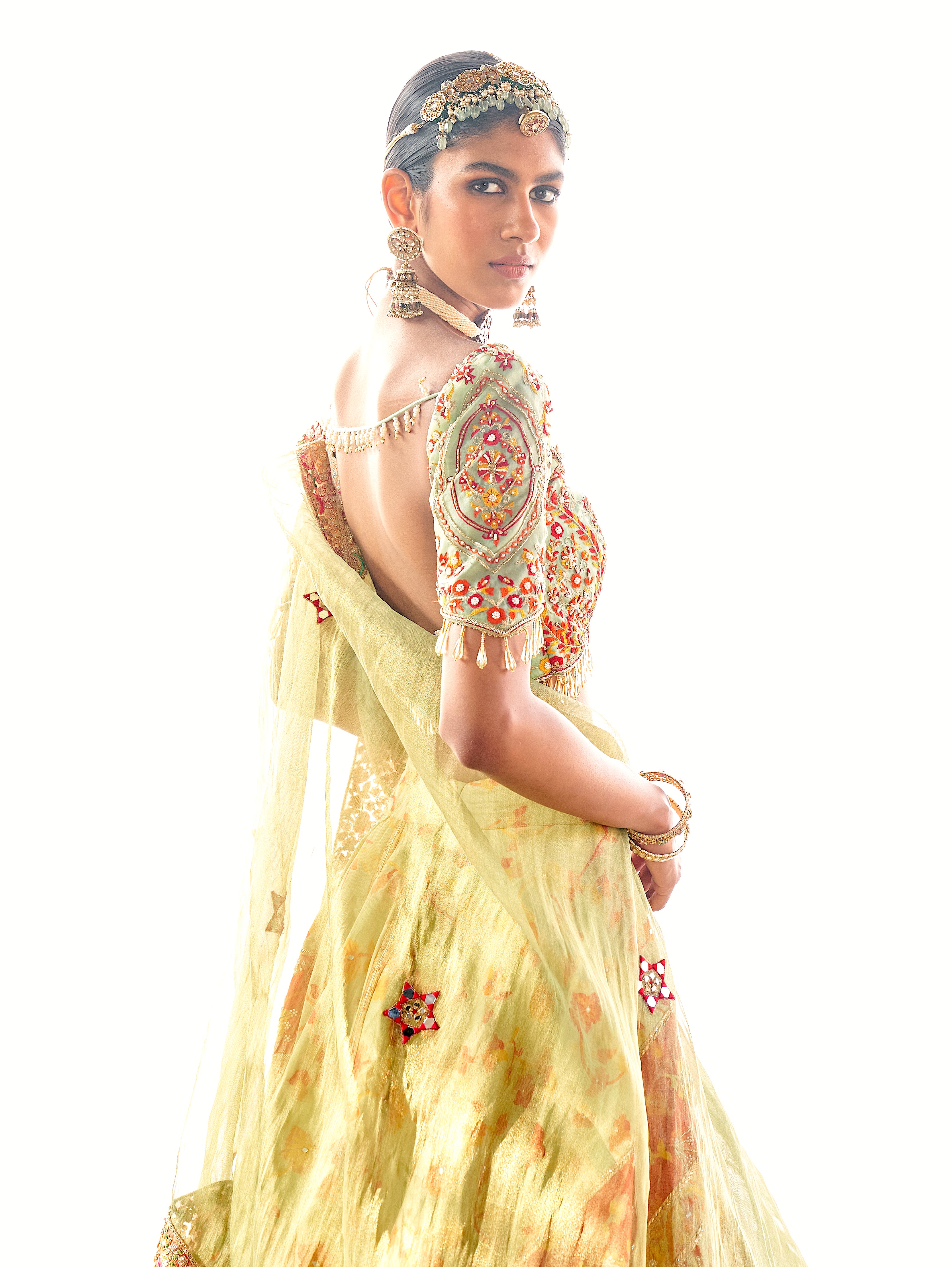 Pista kani Embroidered Lehenga