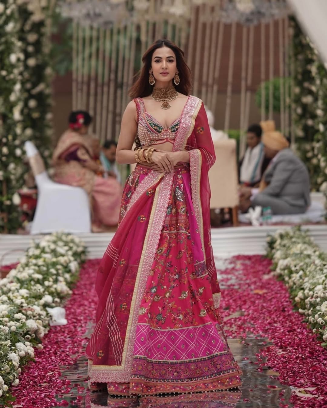 Sonal Chauhan Hot pink jacquard silk banarasi lehenga set