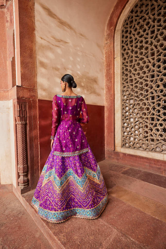 Jamuni Patola Chevron Lehenga with Kurta backside